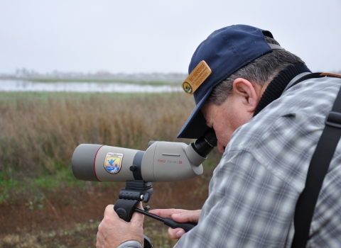Docent viewing birds on wetland