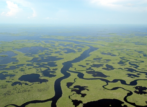 Aerial view of Lane River flowing across Everglades National Park, surrounding by several smaller bodies of water.