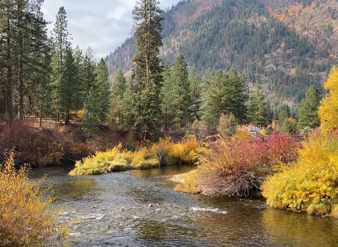 A stream and tall trees in fall foliage beneath a mountain