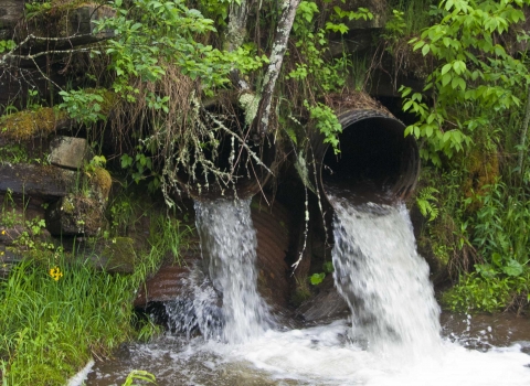photo of culverts perched very high above stream bed, creating barrier to fish passage