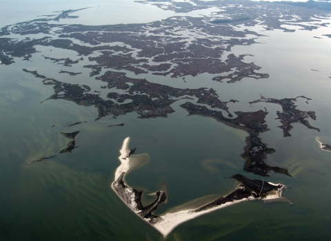 Aerieal view of saltwater (intertidal) wetlands.