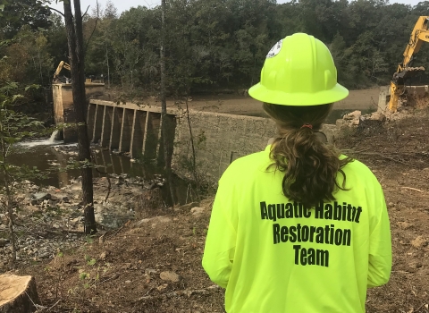 Female- wearing a yellow hard hat and s yellow shirt that reads " Aquatic Habitat Restoration Team"-looking at two excavators removing a concrete dam that stands across a river.