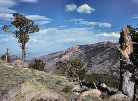 South Fork Little Wind River