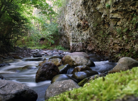 Water flows through narrow gorge with moss-covered rock in the foreground.
