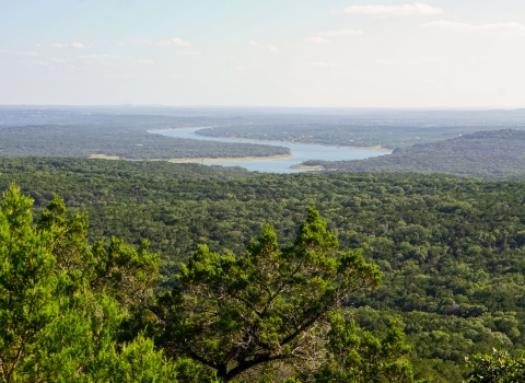 Lake Travis in the distance surrounded by ashe juniper trees