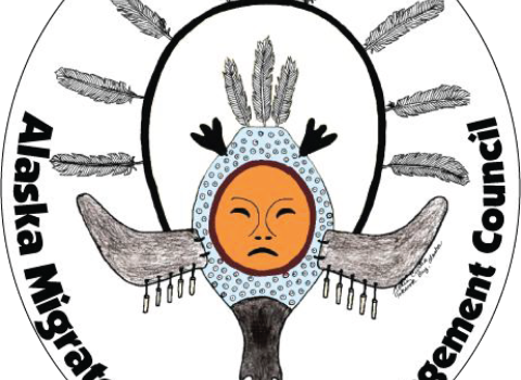 Circle with mask of person as part of a bird with feathers surrounding the mask