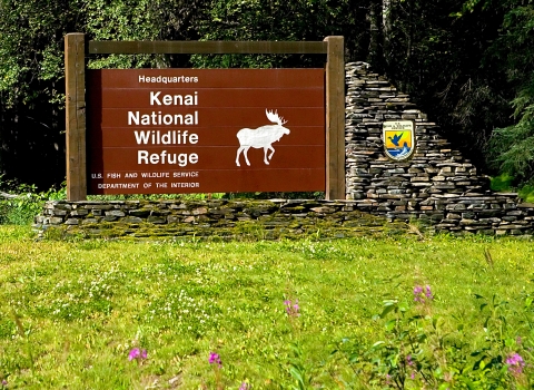 Brown sign with the words Headquarters Kenai National Wildlife Refuge and a moose silhouette
