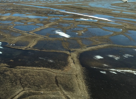 Arctic Coastal Plain of Alaska; lakes and tundra with snow
