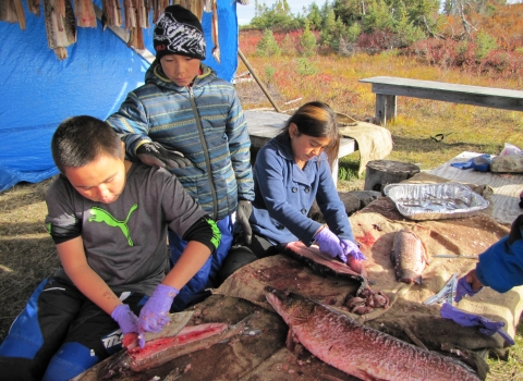 two youngsters practice cutting fish with ulu knives while another looks on