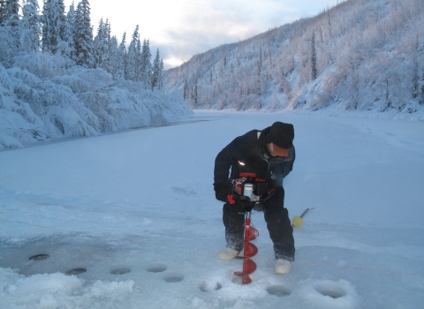 Hydrologist using an auger on ice in winter, during stream gauge monitoring.