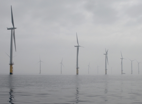 Teeside Offshore Wind Farm