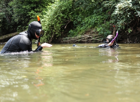 Two snorkelers in a river, heads above water, conversing