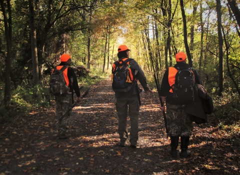 Three people in orange hunting attire walking on a trail in a shaded forest.