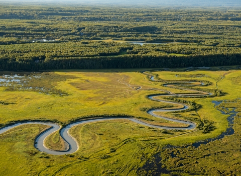 a sinuous tidal creek from overhead