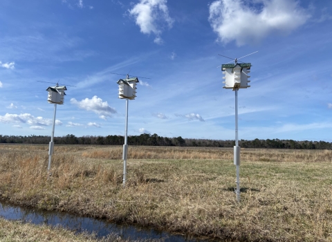 Three apartment-like bird houses in a field