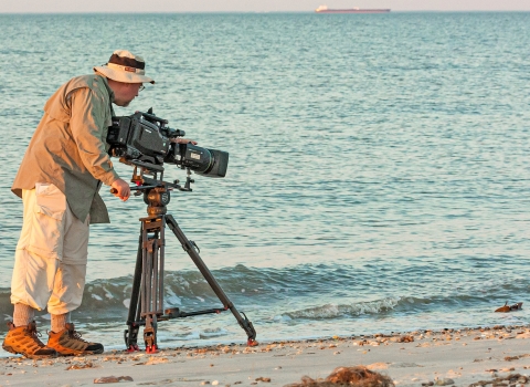 A man using a large video camera standing on a beach filming a crab in the water