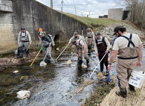 Biologists from the Service and State search for the Yoknapatawpha darter in Smith Creek in Calhoun County, Mississippi, on February 1, 2022.