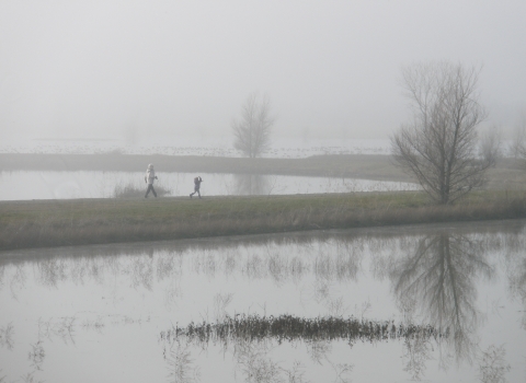 image of 2 people hiking in the fog along the trail at the Steve Thompson NCVWMA