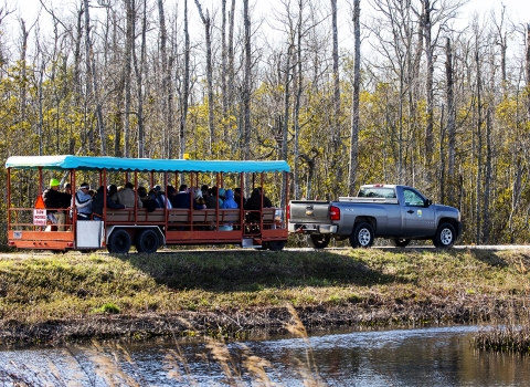 Tram Tour at Alligator River NWR