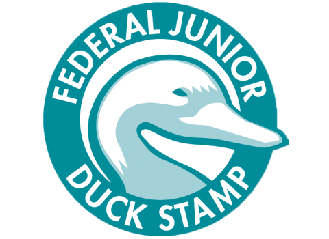 Junior Duck Stamp Logo