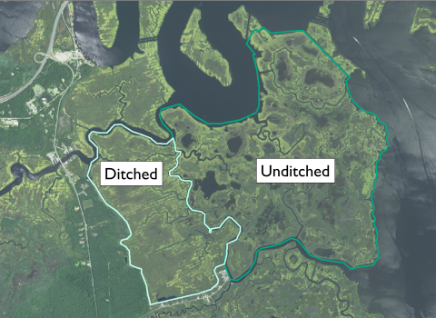 An aerial map shows a coastal mash with unditched and ditched sections side by side 