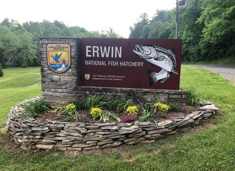 A sign at the entrance of Erwin National Fish Hatchery.