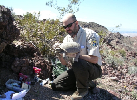 Photo of man kneeling and holding a Mojave desert tortoise