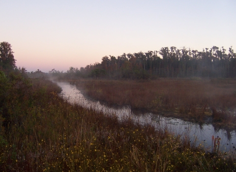 Sunrise over the Okefenokee Swamp.