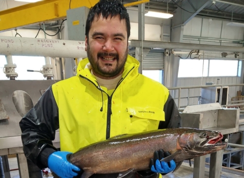 Smiling hatchery employee wearing bright yellow jacket and holding large fish with blue gloves