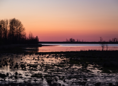 Sunset over a marsh