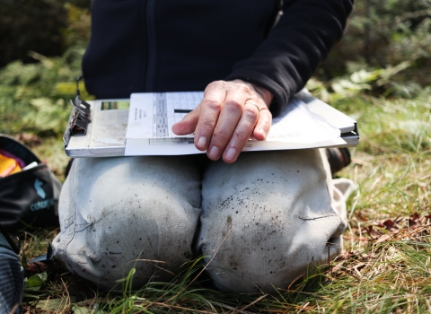 Person sitting in the grass, clip board and data sheet on their lap