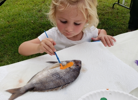 A little girl chooses orange from her palette of colors and is painting a real fish. She will use the painted fish to create her Fish Art T-shirt. 