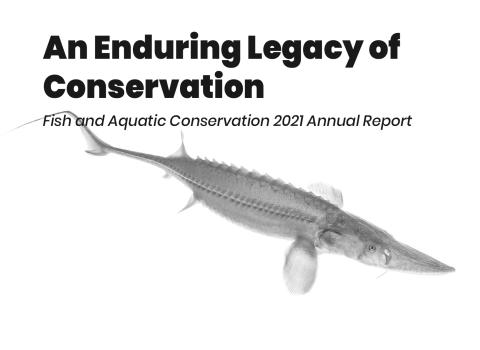 A large grey fish with armored scales float on a white background. Heavy black text reads "an enduring legacy of conservation. Fish and Aquatic Conservation 2021 annual report. 