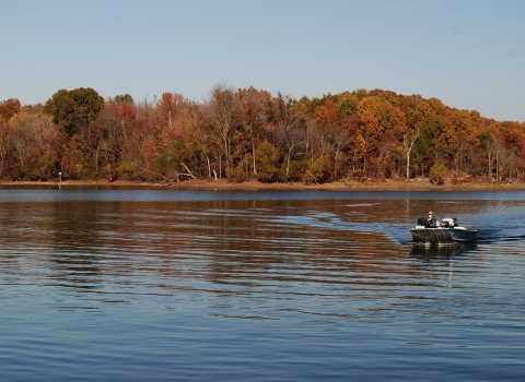 A motor boat moving across the water toward the camera with a bank of fall colored leafed trees in the background.