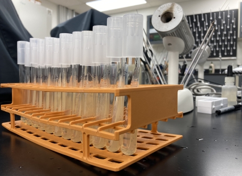 Vials in vial holder in lab