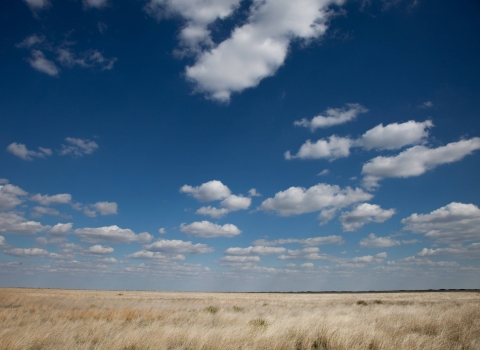 Image of high prairie on sunny day