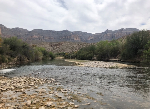 Looking downstream at the Rio Grande near the Black Gap Wildlife Refuge