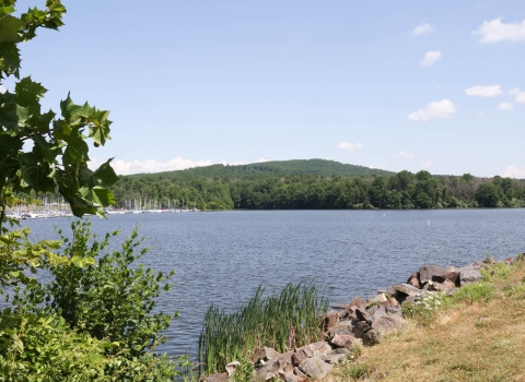 On the grassy edge of the water, look across a lake to a forested hilltop under the open sky on a summer day.