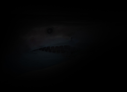 very dark image faintly showing the face of a shark