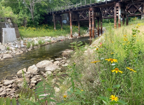 A river runs from upper right to lower left and is bordered by green trees on one side and wildflowers on the other. An old train bridge is in the background.