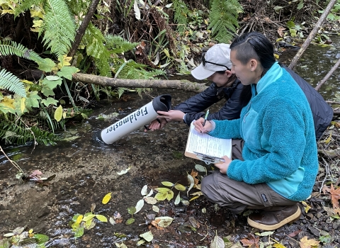 two biologists crouching next to a creek in a forest surveying a mussel bed through a large scope