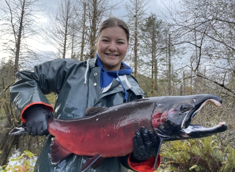 Fisheries intern, Hannah Ferwerda, holding an adult male coho salmon.