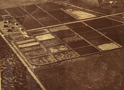 a sepia view from above showing a cluster of buildings and manmade fish ponds