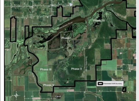 Image on top is Shiawassee National Wildlife Refuge in 2009 prior to implementation of multi-phased wetland restoration and hydrologic re-connection work.  Image on the bottom is satellite imagery from August 2021 demonstrating the conversion of agricultural lands to wetland and a reconnection floodplain. Photo Credit: Eric Dunton/USFWS  