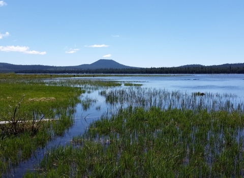 Looking across a wet prairie, filled with water, toward mountains in distance