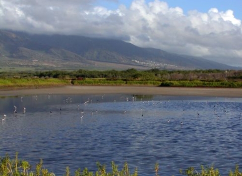 A vast pond surrounded by large mountains with rolling white clouds. 
