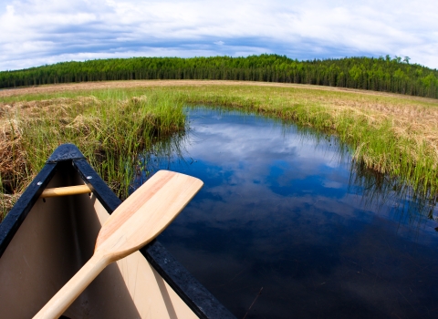 bow of a canoe in a narrow waterway with wetlands and forest