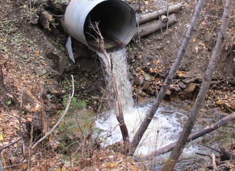 A perched culvert that runs under a road had been placed where fish or other aquatic species would need to drop several feet to reach the water below. A perched culvert is not fish-friendly.  