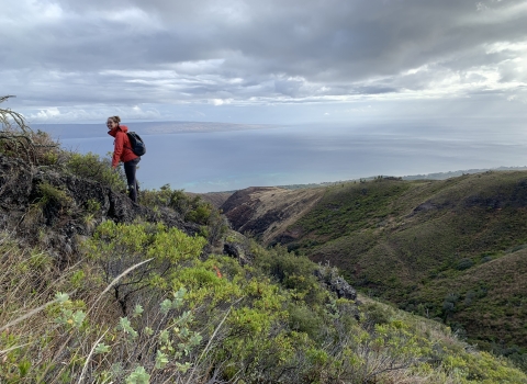 A person in a red jacket standing at the top of a mountain overlooking a gulch and the ocean.