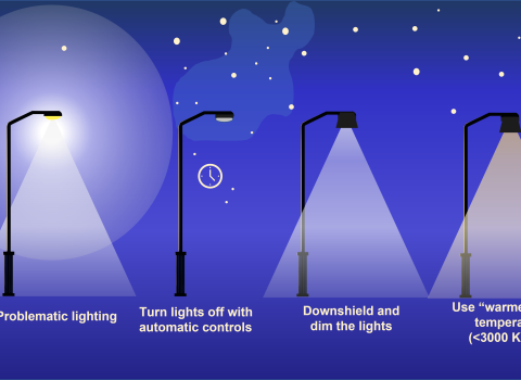 The graphic shows four street lights in total. The light on the far left illustrates the problem with un necessary nighttime lighting, and the other three illustrate the possible solutions. (A full description can be found in the caption) 